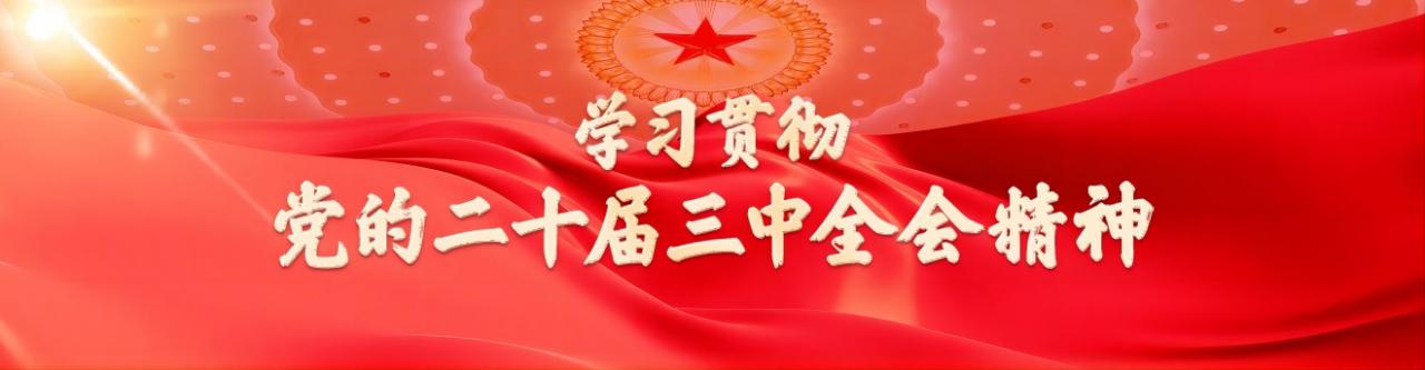 学习贯彻党的二十届三中全会精神